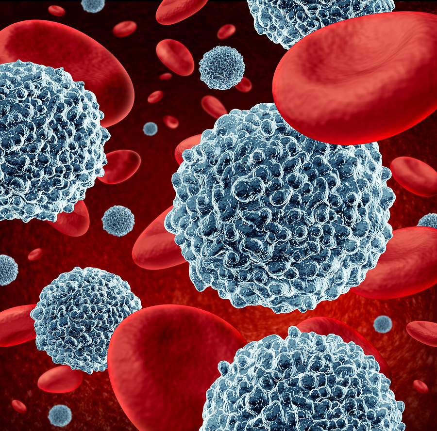 White blood cells and immune health